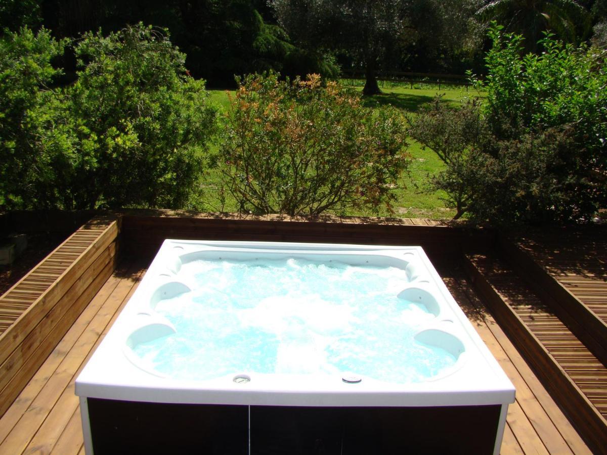 La Villa Saint Andre - Argeles Sur Mer Exterior photo