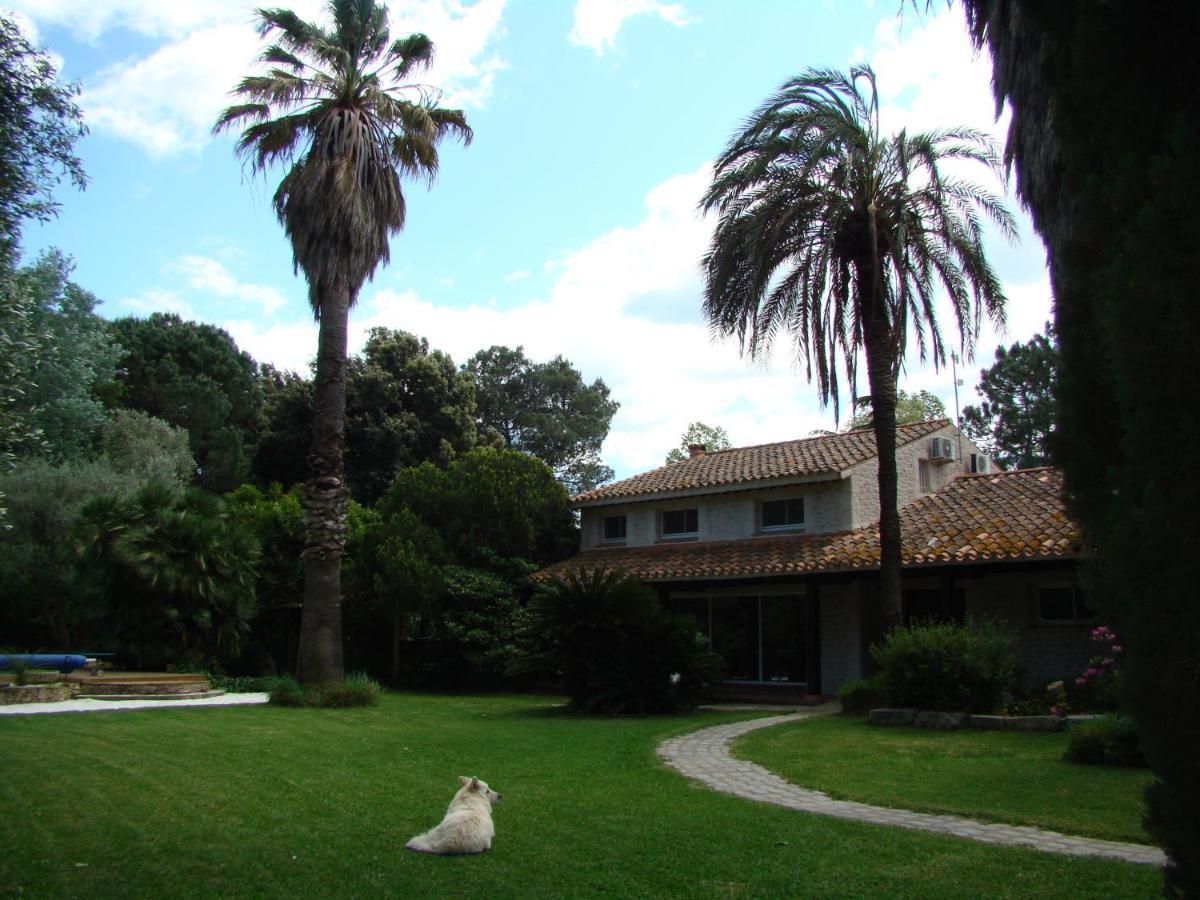 La Villa Saint Andre - Argeles Sur Mer Exterior photo